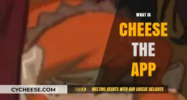 Discover Cheese: The App Revolutionizing Social Media Sharing