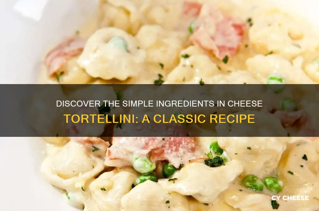 what is cheese tortellini ingredients