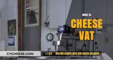 Understanding the Cheese Vat: Essential Tool for Artisan Cheese Making