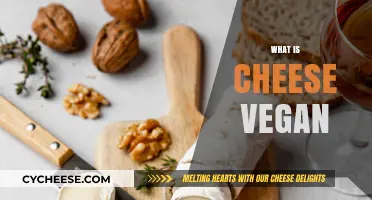 Is Cheese Vegan? Exploring Plant-Based Alternatives and Dairy-Free Options