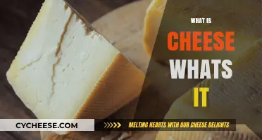 Exploring Cheese: What It Is, Its Origins, and Why We Love It