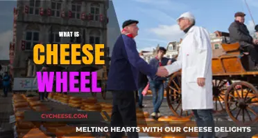 Exploring the Art and Tradition of the Cheese Wheel
