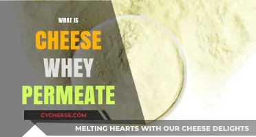 Understanding Cheese Whey Permeate: Uses, Benefits, and Production Process