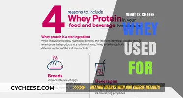 Cheese Whey: Surprising Uses and Benefits