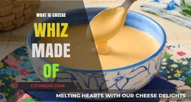 Unveiling the Mystery: Cheese Whiz Ingredients Explained