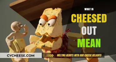 What Does 'Cheesed Out' Mean? Unraveling the Slang Term's Meaning