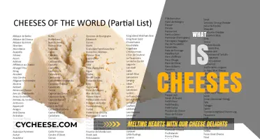 Exploring the World of Cheeses: Types, Origins, and Delicious Varieties