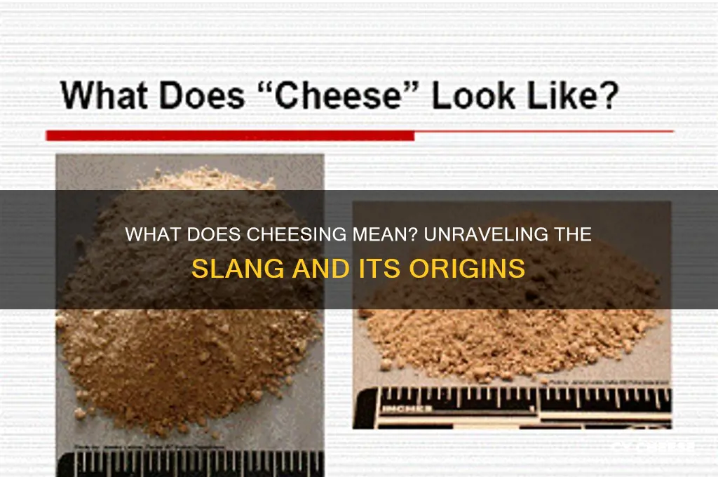 what is cheesing mean