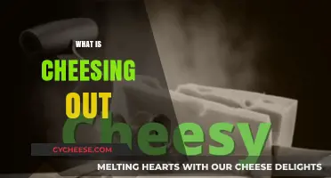 Understanding the Slang: What Does 'Cheesing Out' Really Mean?