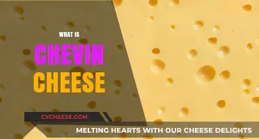 Discover the Rich Flavor and History of Chevin Cheese