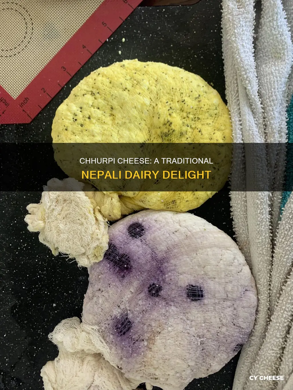 what is chhurpi cheese made from