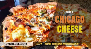 Discover the Melty Magic of Chicago Cheese: A Deep Dish Delight