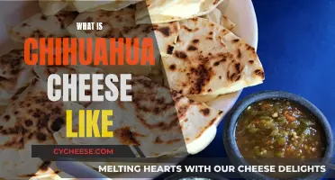 Chihuahua Cheese: A Unique, Flavorful Mexican Treat