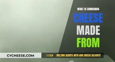 Chihuahua Cheese: A Mexican Delicacy's Origin Story
