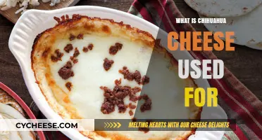 Explore the Many Uses of Chihuahua Cheese