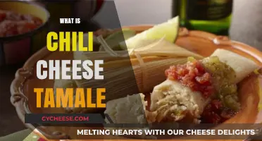 Discover the Delicious World of Chili Cheese Tamales: A Flavorful Guide