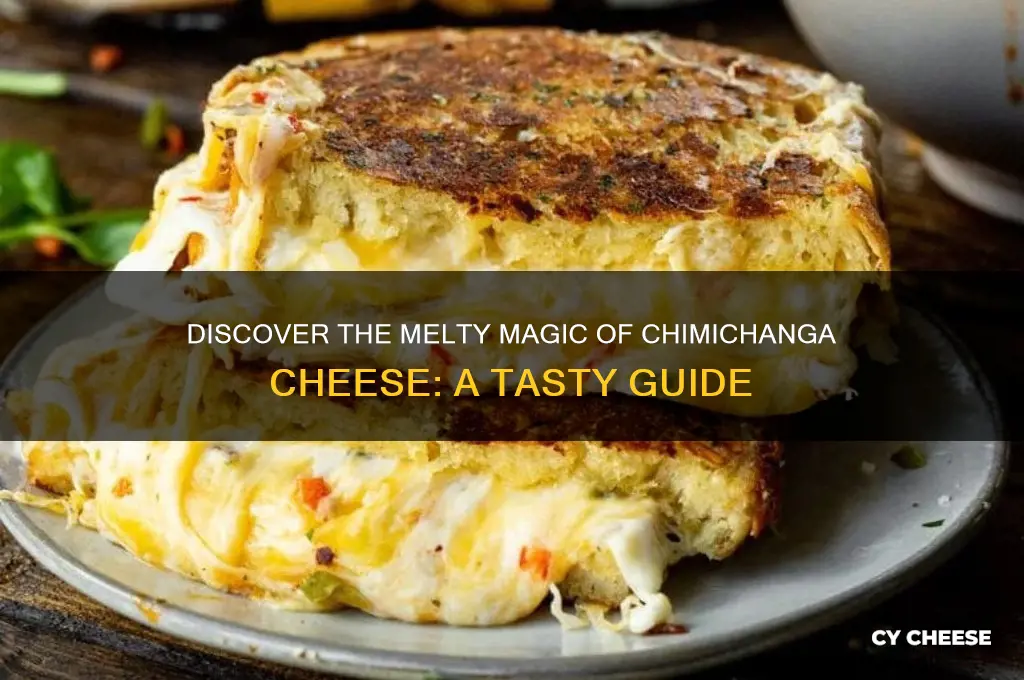 what is chimichanga cheese