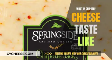 Exploring the Flavor: A Tasty Chipotle Cheese Adventure