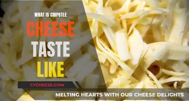 Chipotle Cheese: Spicy, Smoky, and Delicious