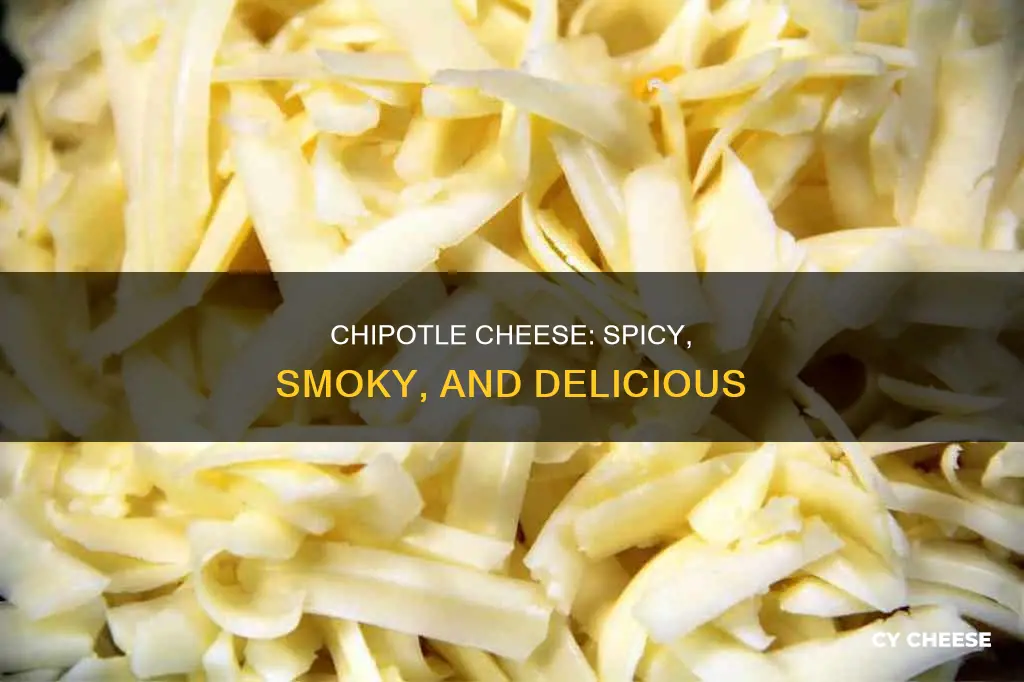 what is chipotle cheese taste like