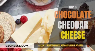 Chocolate Cheddar Cheese: A Sweet and Savory Adventure