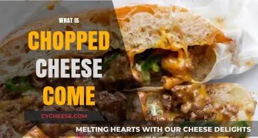 Discover the Ultimate NYC Bodega Classic: What is Chopped Cheese?