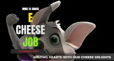 Chuck E. Cheese's Work Culture and Job Satisfaction