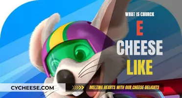 Exploring Chuck E. Cheese: A Fun-Filled Adventure