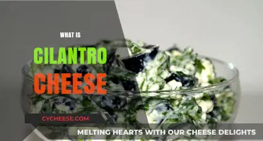 Discover Cilantro Cheese: Flavor, Uses, and Unique Culinary Charm
