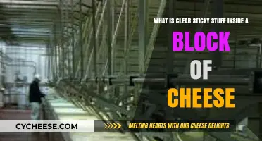 Unveiling the Mystery: What is the Clear Sticky Substance in Cheese?