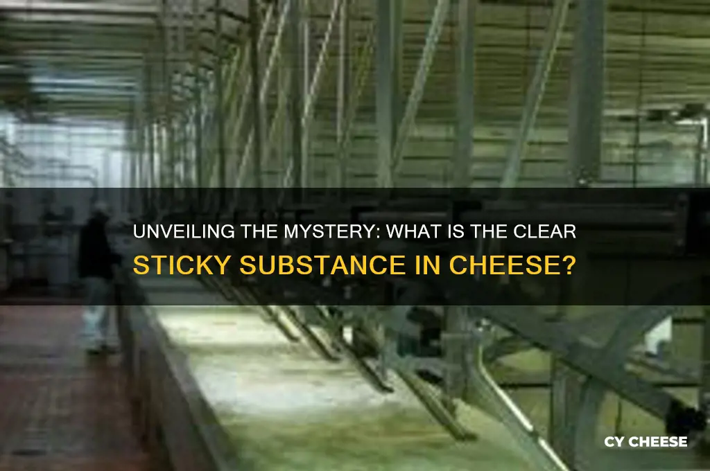 what is clear sticky stuff inside a block of cheese