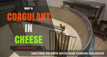 Understanding Coagulants: Key Role in Cheese Making Explained