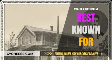 Colby Cheese: A Mild-Flavored American Favorite