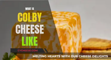 Colby Cheese: A Flavorful Adventure