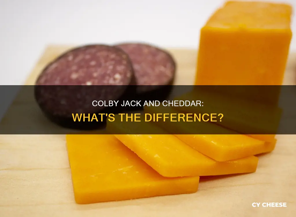 what is colby jack vs cheddar cheese