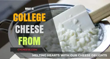 Unveiling the Origins of College Cheese: A Tasty History Lesson