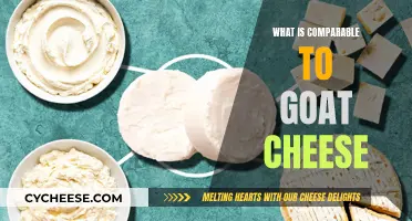 Goat Cheese Alternatives: Similar Cheeses to Try