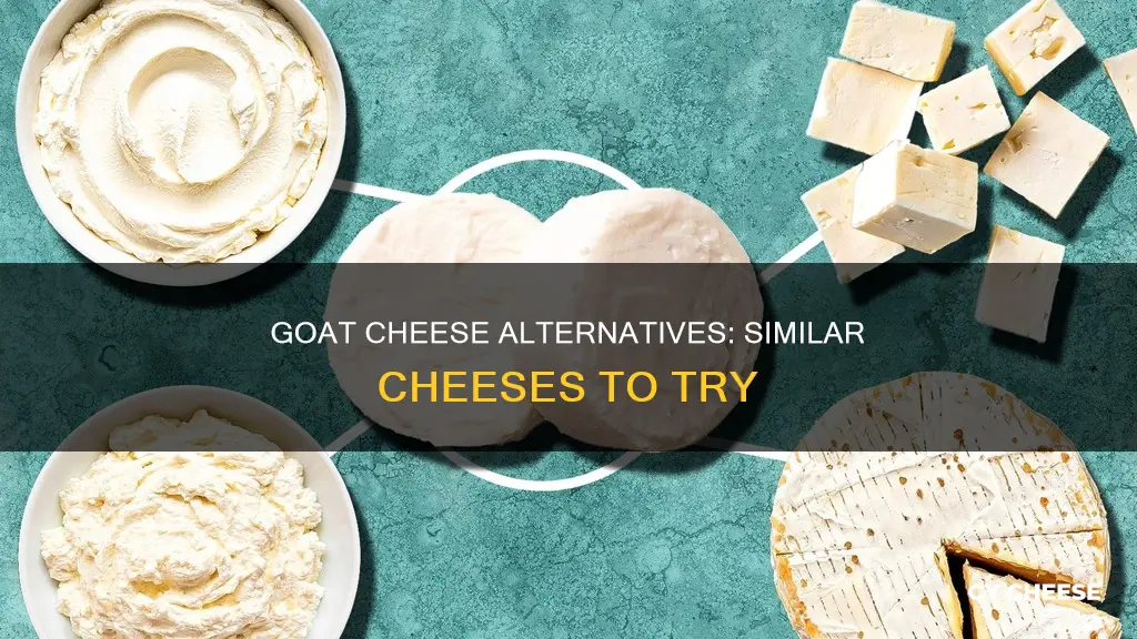 what is comparable to goat cheese