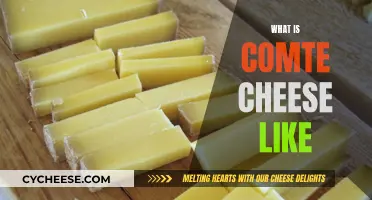 Taste of Comte: A Cheesy Adventure