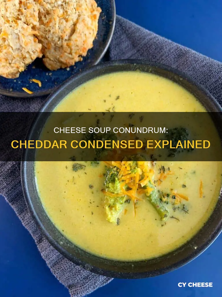 what is condensed cheddar cheese soup