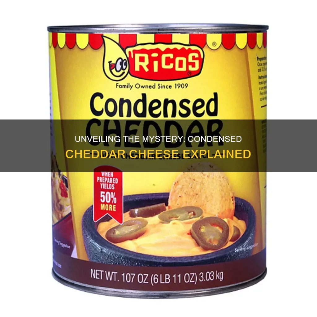 what is condensed cheddar cheese