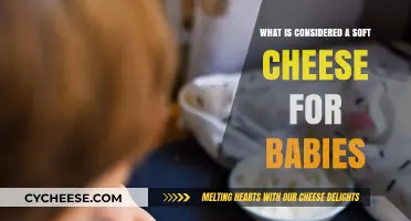 Soft Cheese for Babies: Safe, Nutritious Options for Little Ones