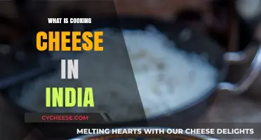 Cheese in Indian Cooking: What's the Deal?