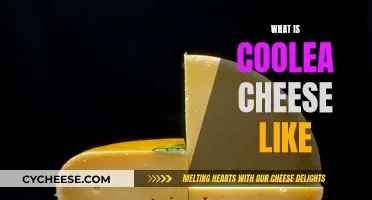 Coolea Cheese: A Unique, Creamy Adventure in Every Bite