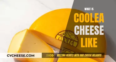 Exploring Coolea Cheese: A Flavor Adventure