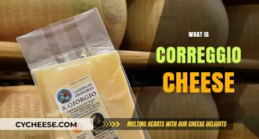 Discovering Correggio Cheese: Origins, Flavor, and Culinary Uses Explained