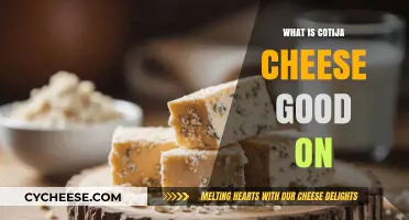 Delicious Cotija Cheese Pairings: Elevate Your Dishes with Crumbly Goodness