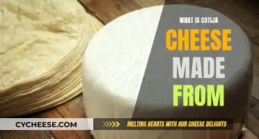 The Making of Cotija Cheese: A Mexican Delicacy