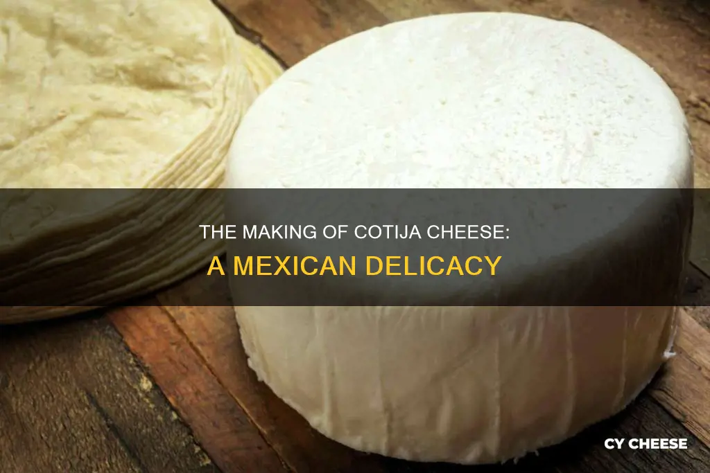 what is cotija cheese made from