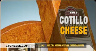 Discover Cotillo Cheese: Origins, Flavor, and Culinary Uses Explained